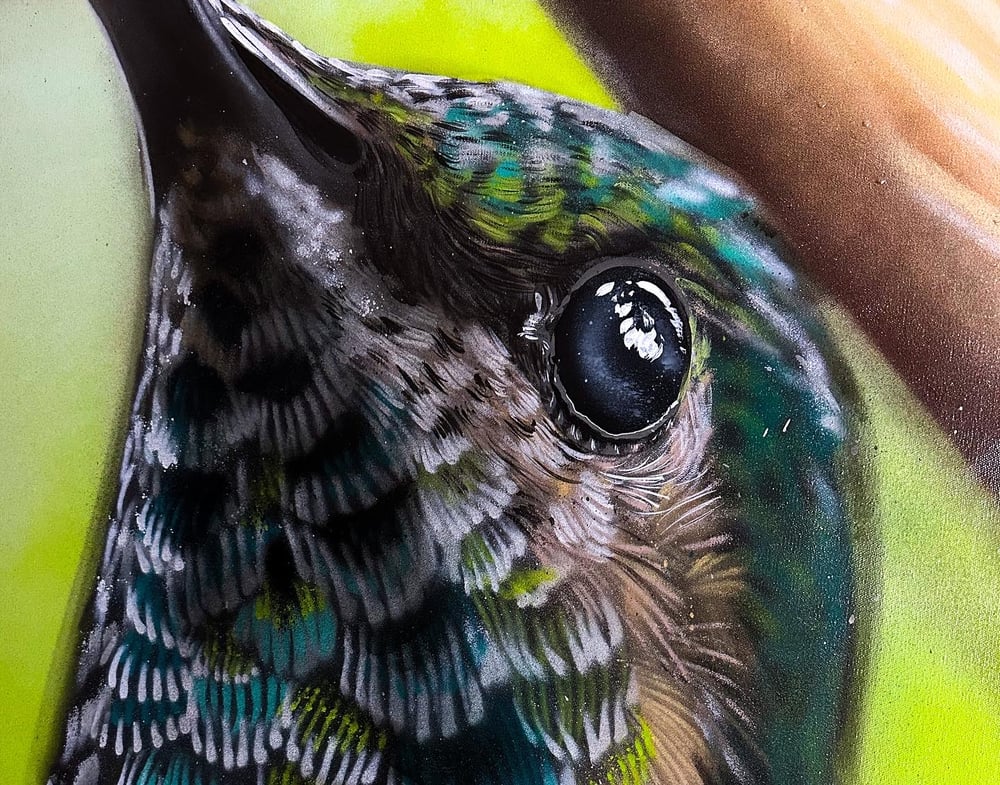 Image of Hummingbird Canvas