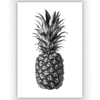 Rainforest Rewild Pineapple. From