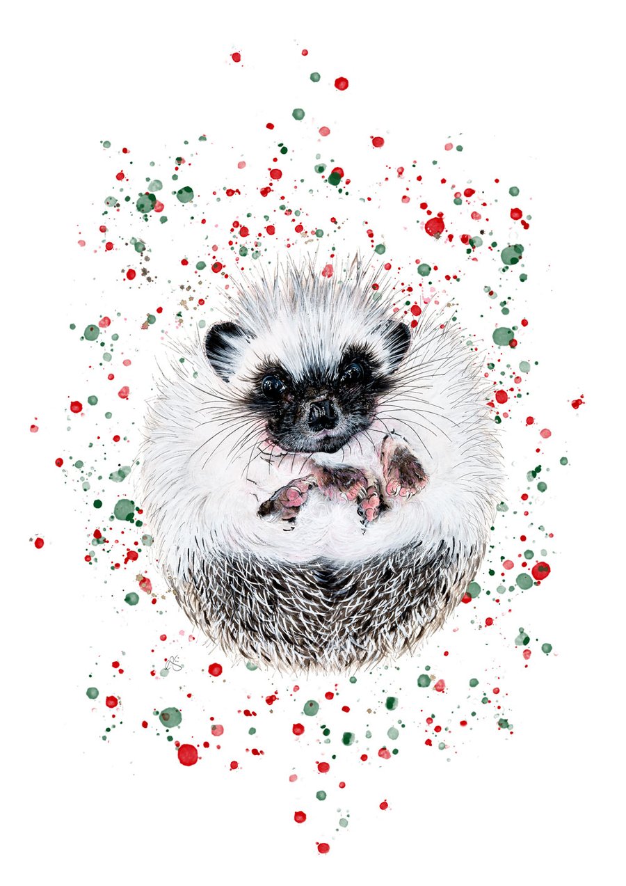 Image of  Hedgehog for Christmas