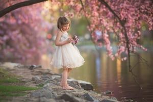 Image of 2026 Blossom session retainer fee