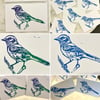 Florida Scrub Jay Original Linocut Ink Print