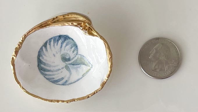 Image of The Nautilus - Mini Trinket Shell 