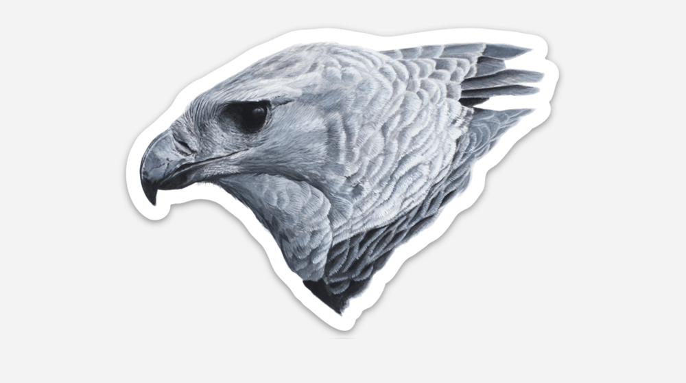 Image of Harpy Eagle Sticker