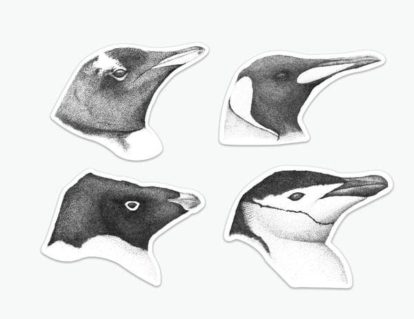 Image of Penguin Stickers (individual or as a pack)