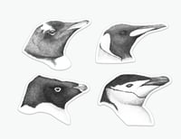 Image 1 of Penguin Stickers (individual or as a pack)