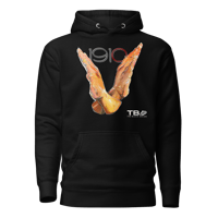 Image 1 of AMPLIFIED | hoodie