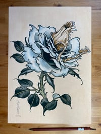 Fox skull rose