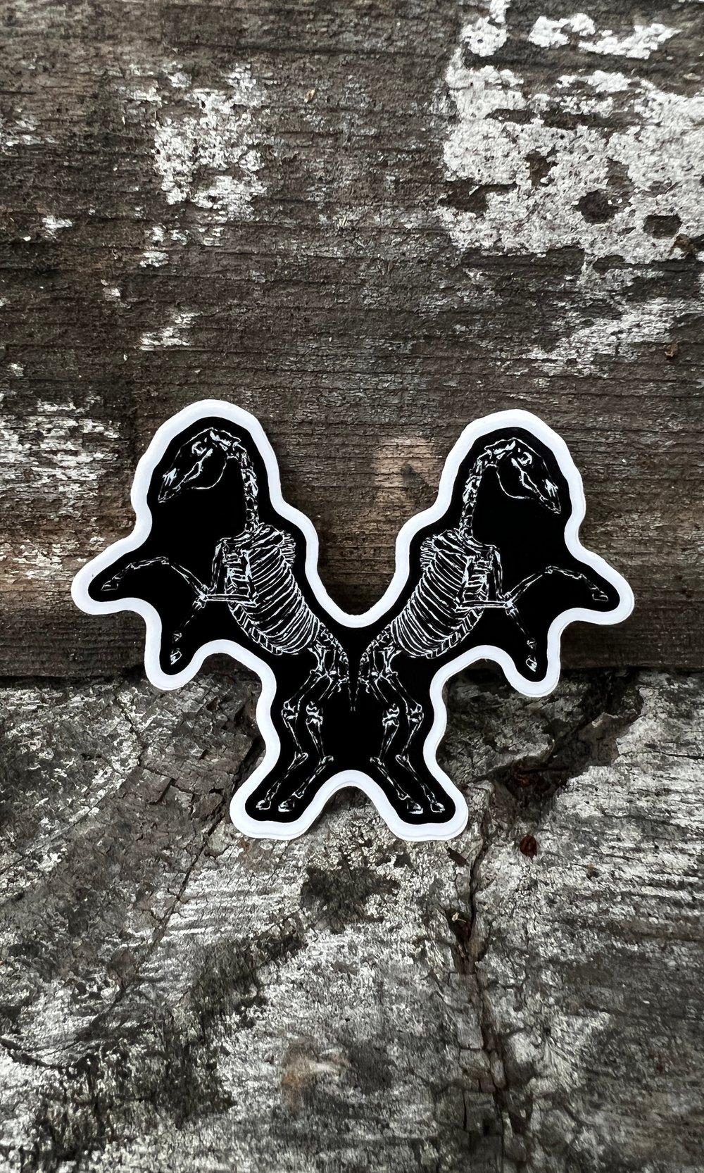 Image of HORSE SKELETON VINYL STICKER