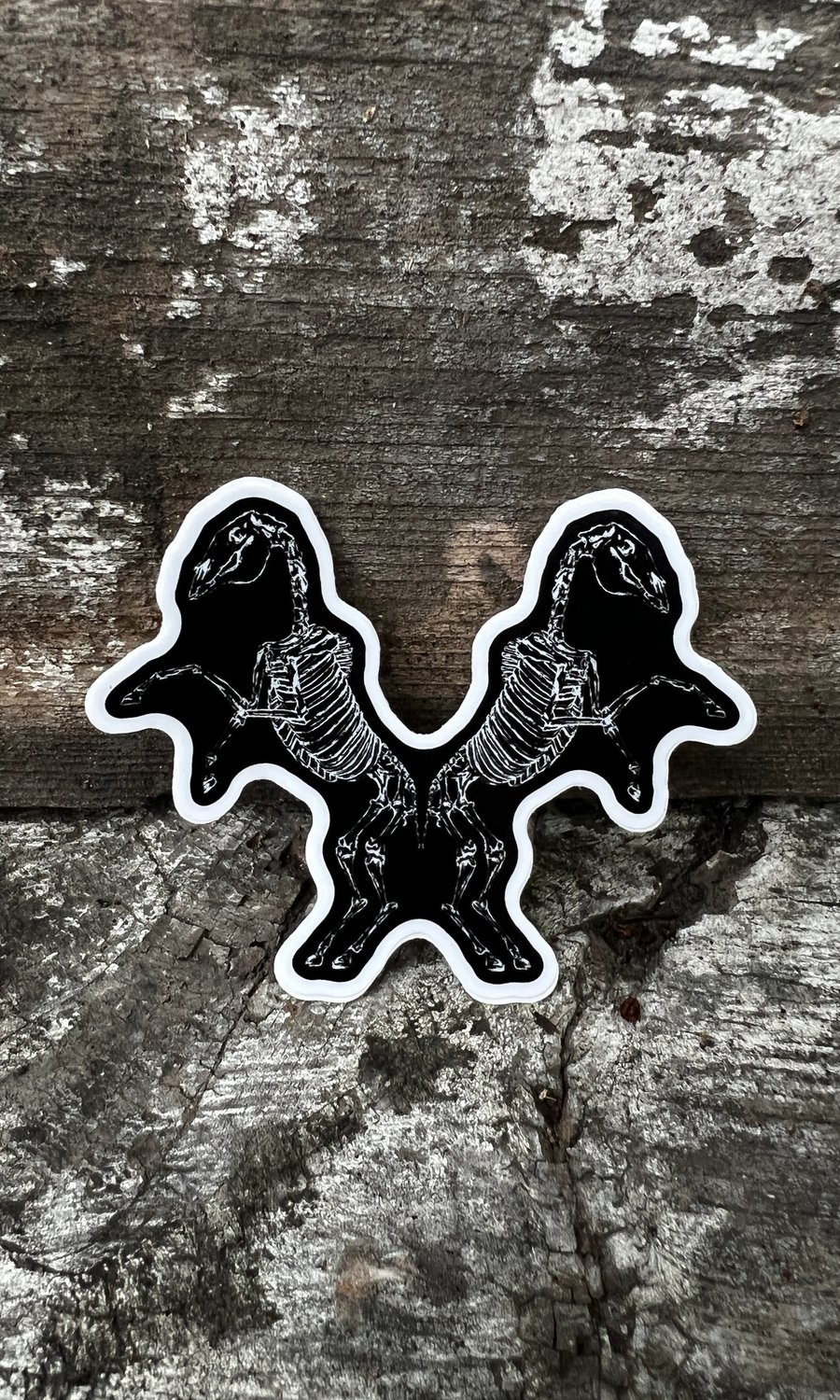 Image of HORSE SKELETON VINYL STICKER