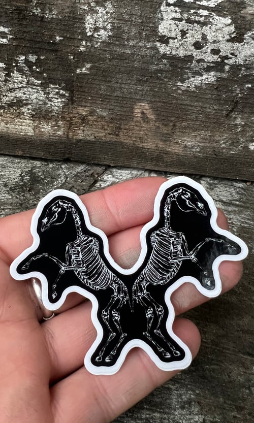 Image of HORSE SKELETON VINYL STICKER