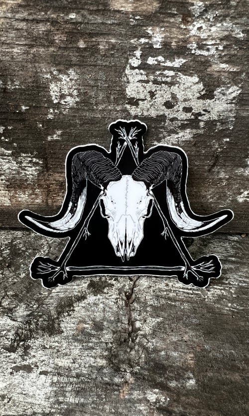 Image of RAM SKULL VINYL STICKER