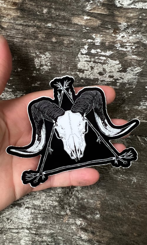 Image of RAM SKULL VINYL STICKER