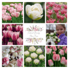 Spring '24 Bouquet Subscription