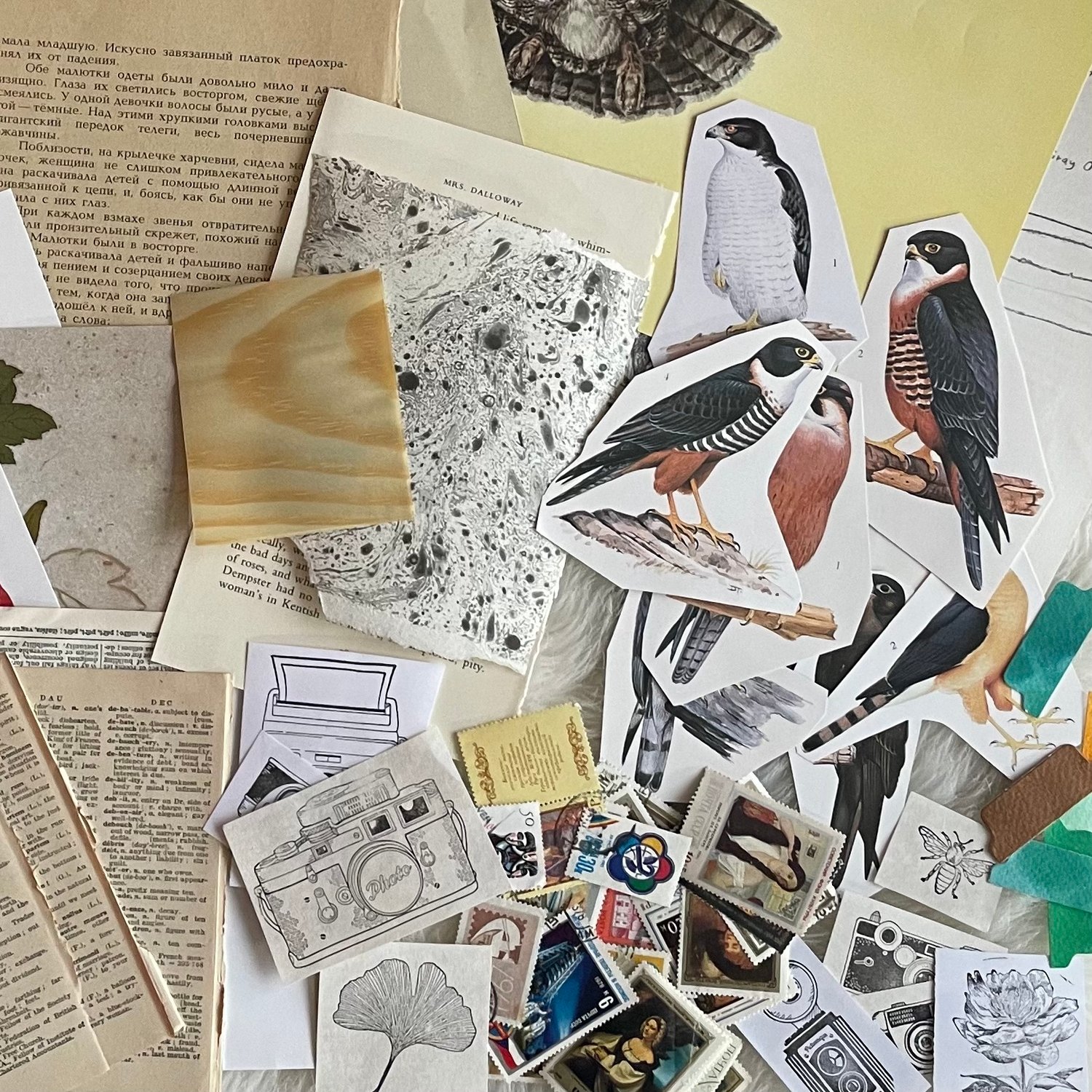 Image of Ephemera Pack (#1)