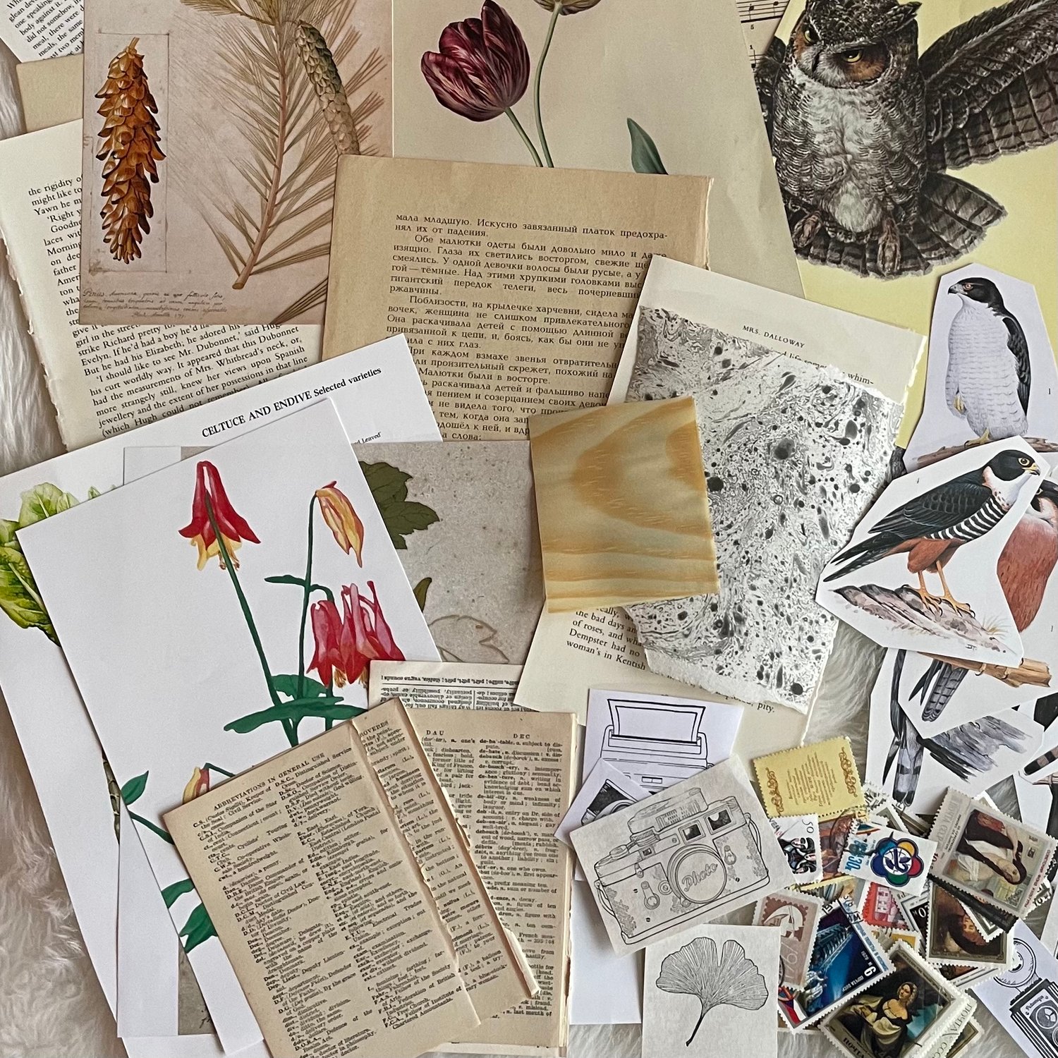 Image of Ephemera Pack (#1)
