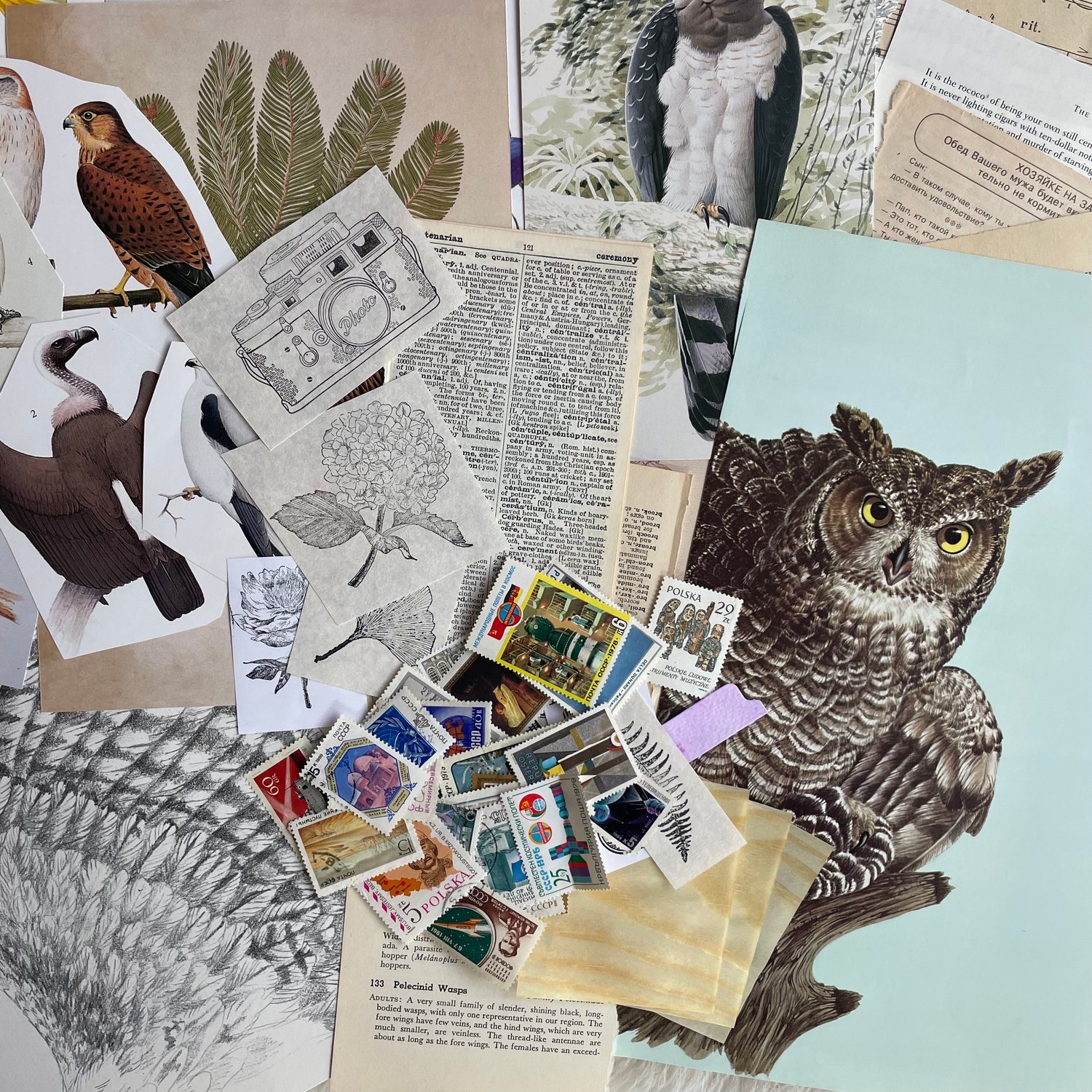 Image of Ephemera Pack (#2)