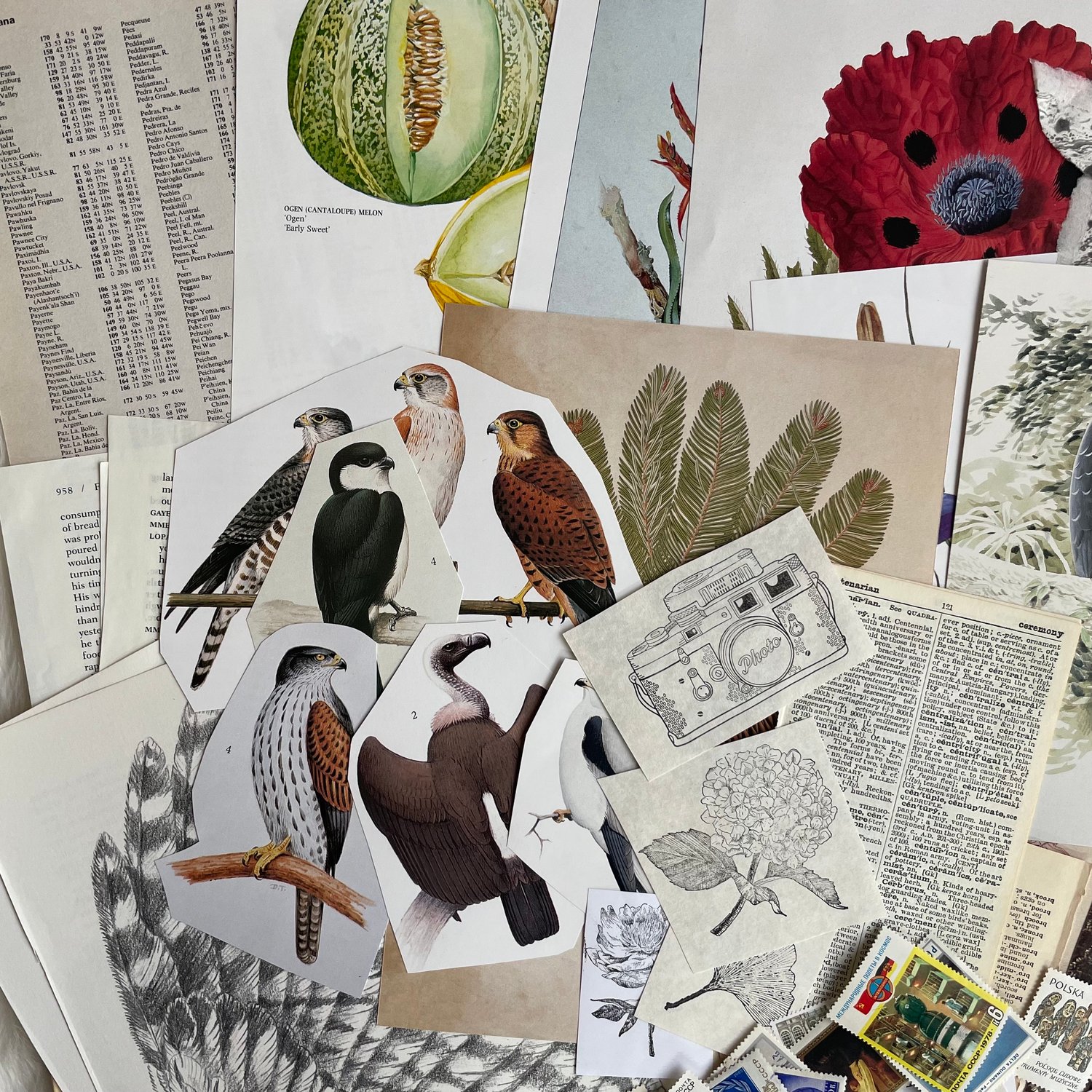 Image of Ephemera Pack (#2)
