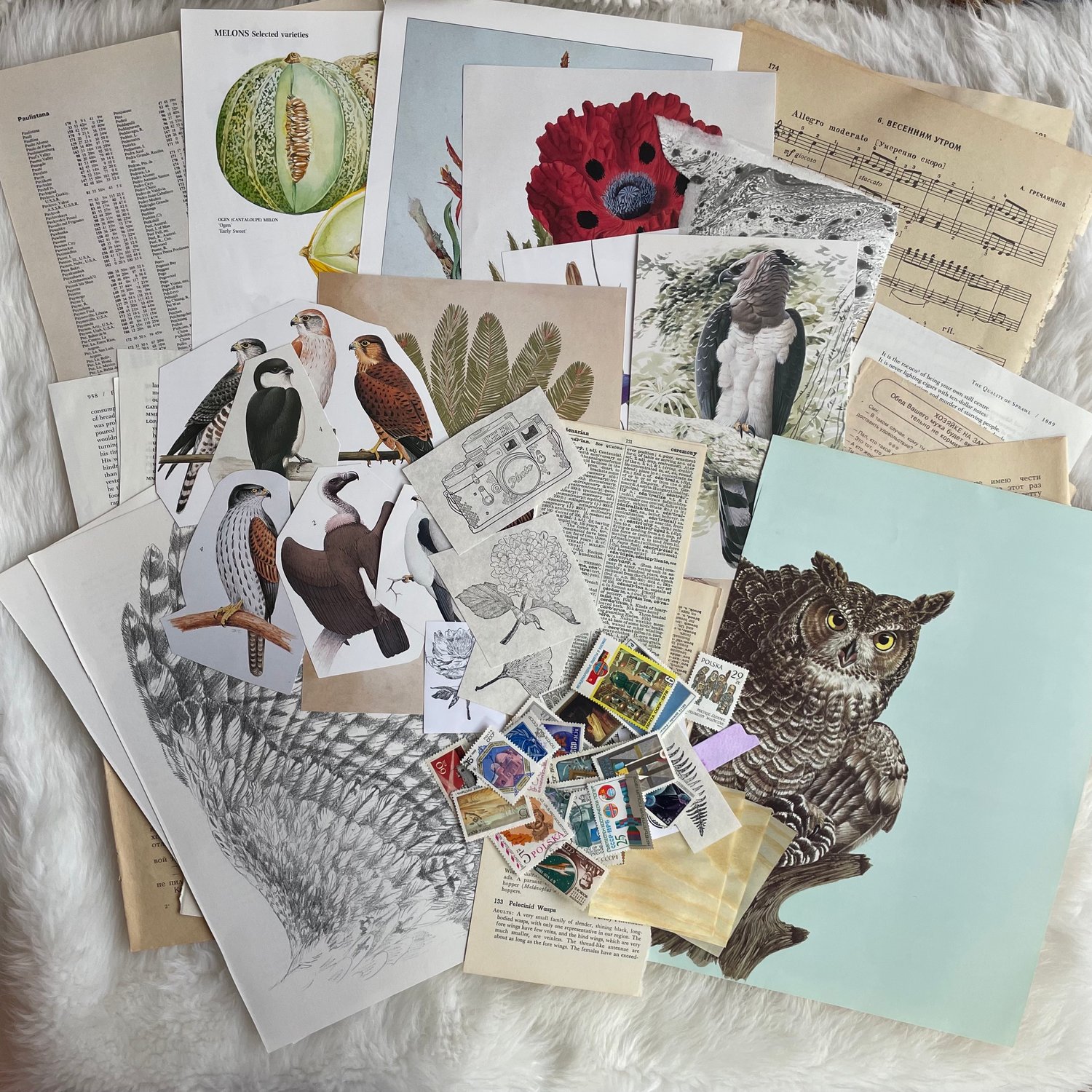 Image of Ephemera Pack (#2)