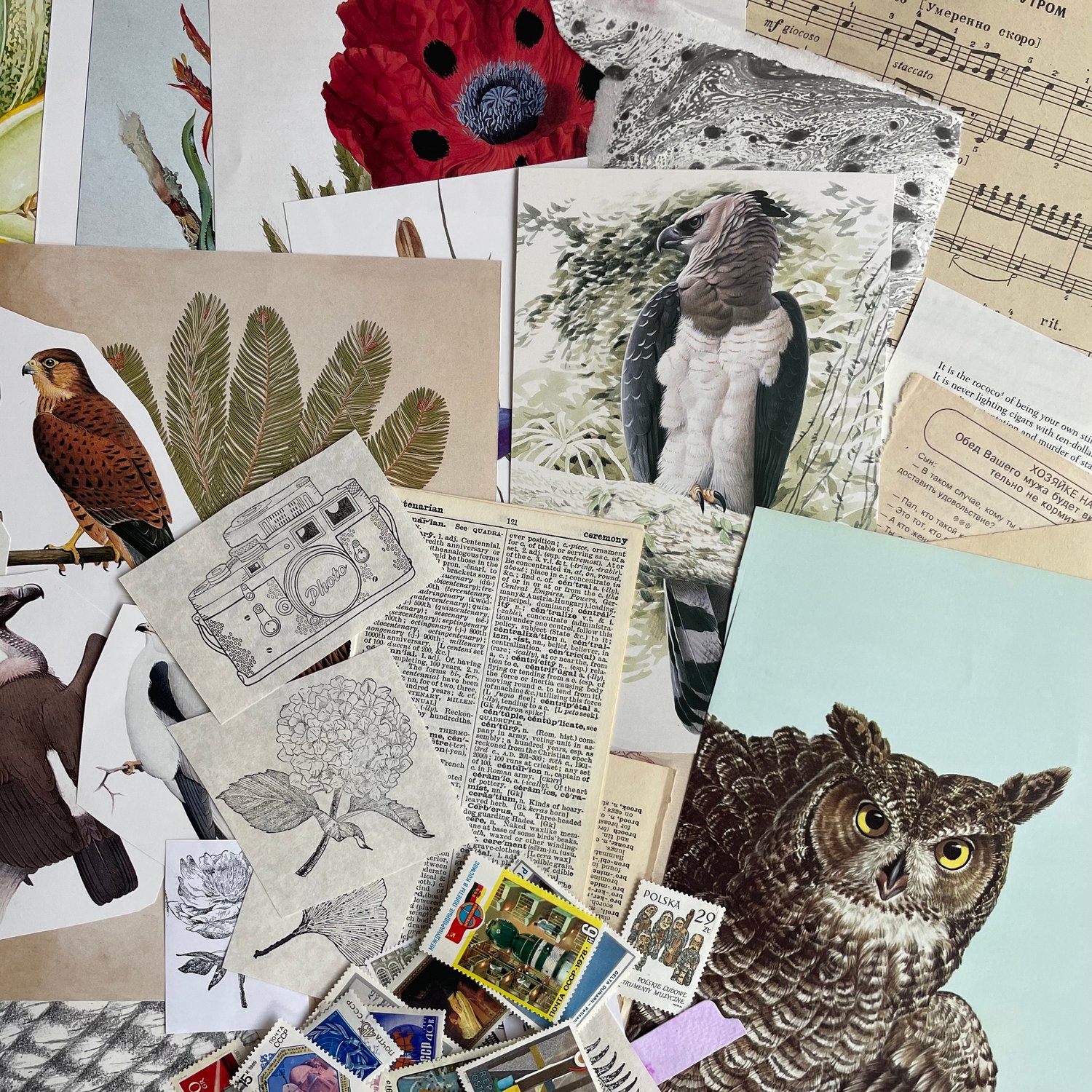 Image of Ephemera Pack (#2)