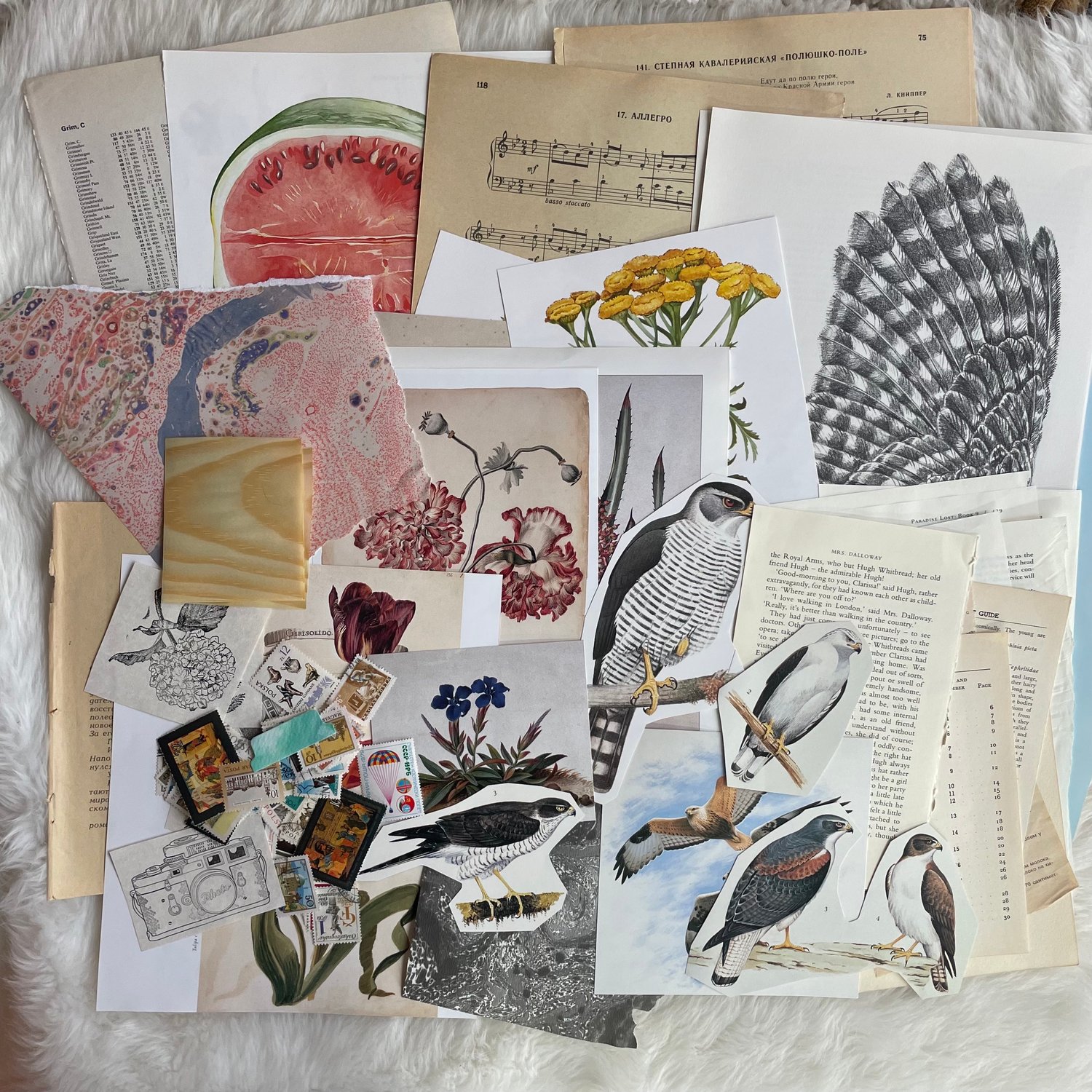 Image of Ephemera pack (#3)