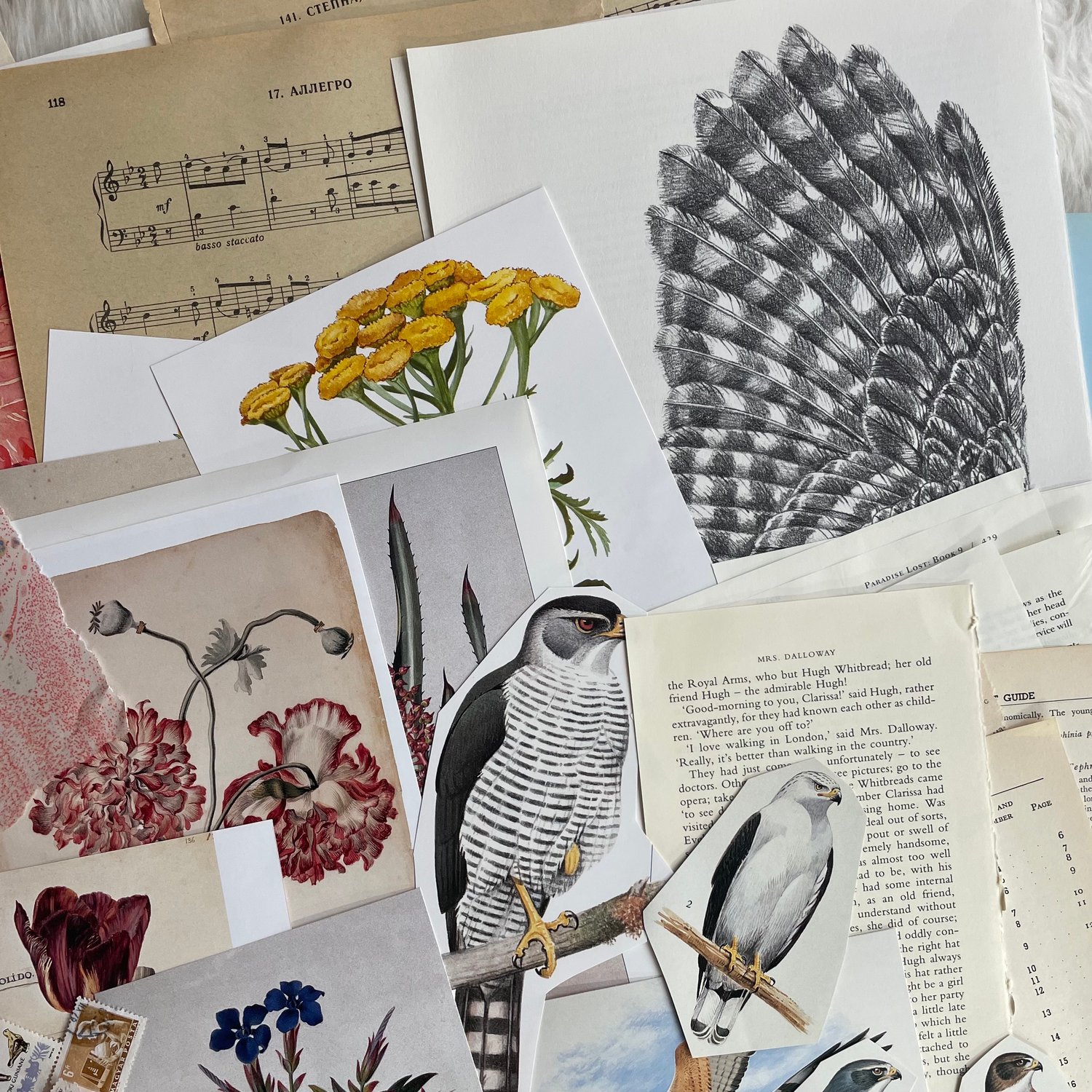 Image of Ephemera pack (#3)