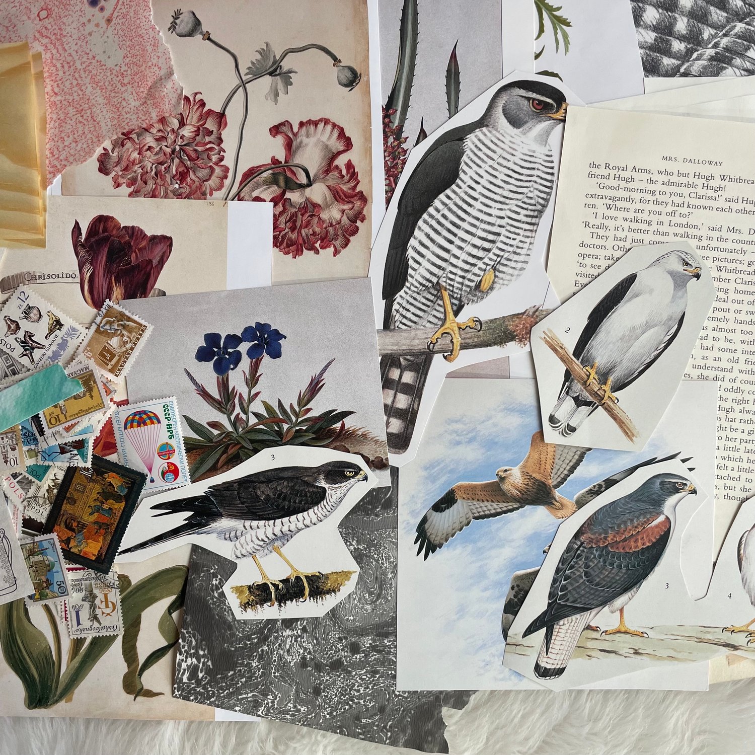 Image of Ephemera pack (#3)