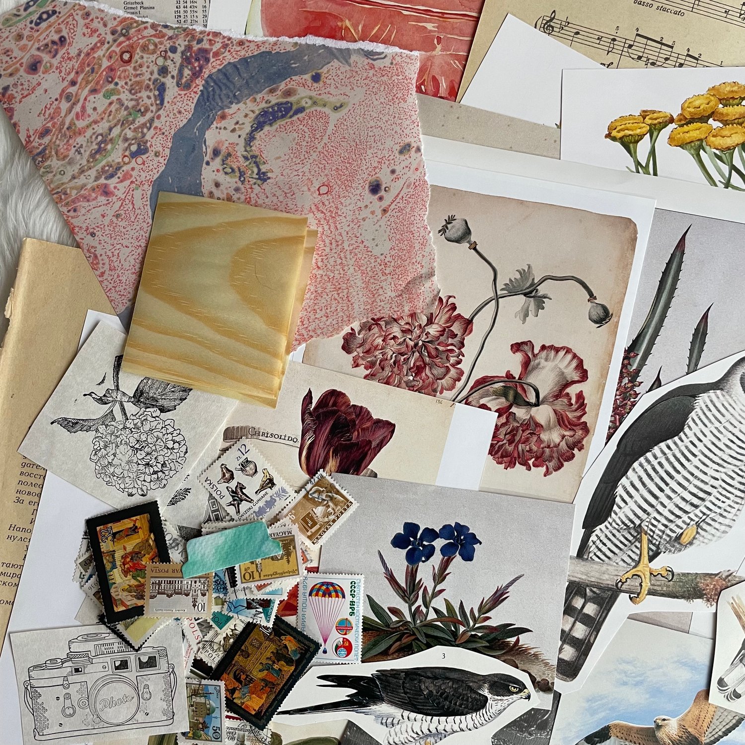 Image of Ephemera pack (#3)