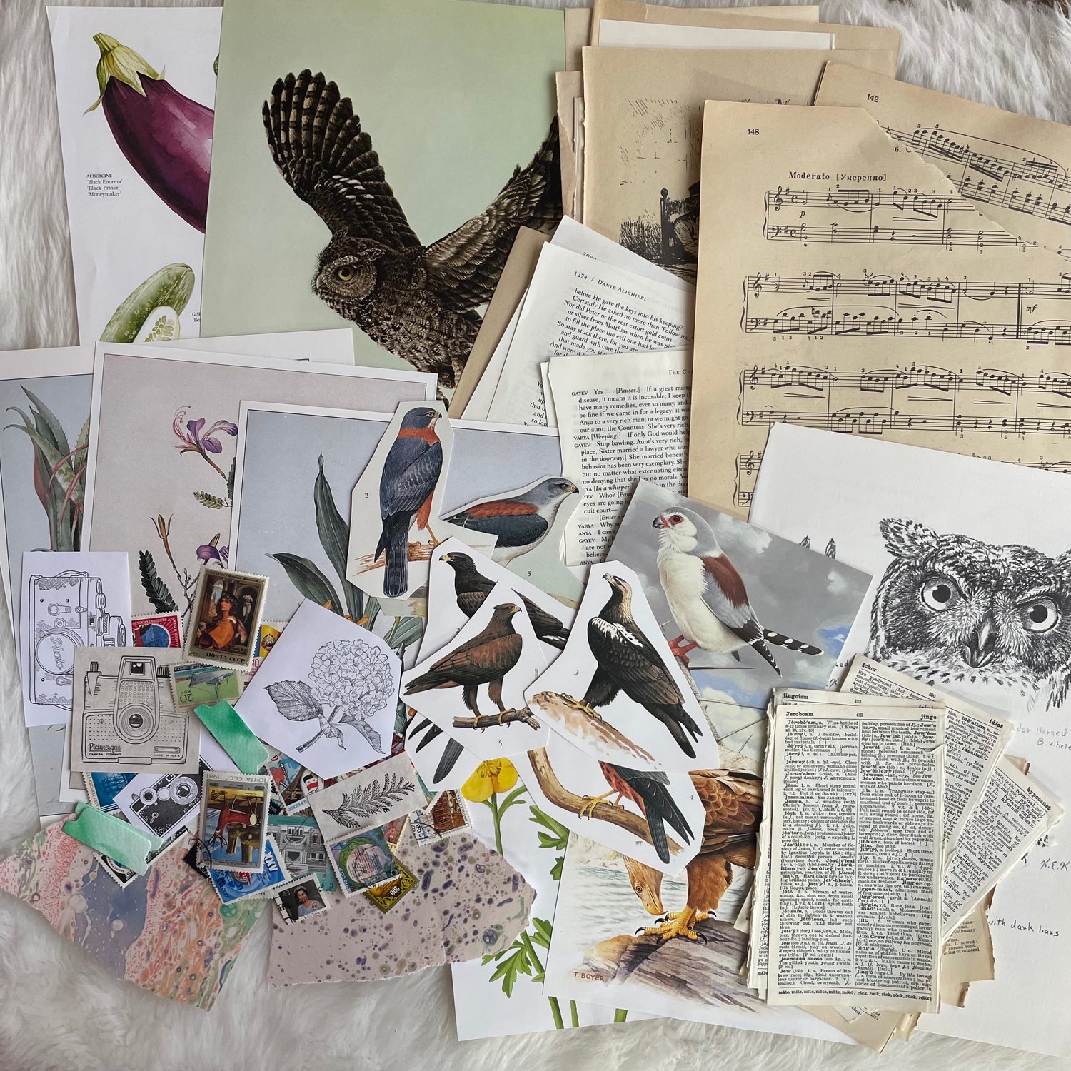 Image of Ephemera Pack (#4)