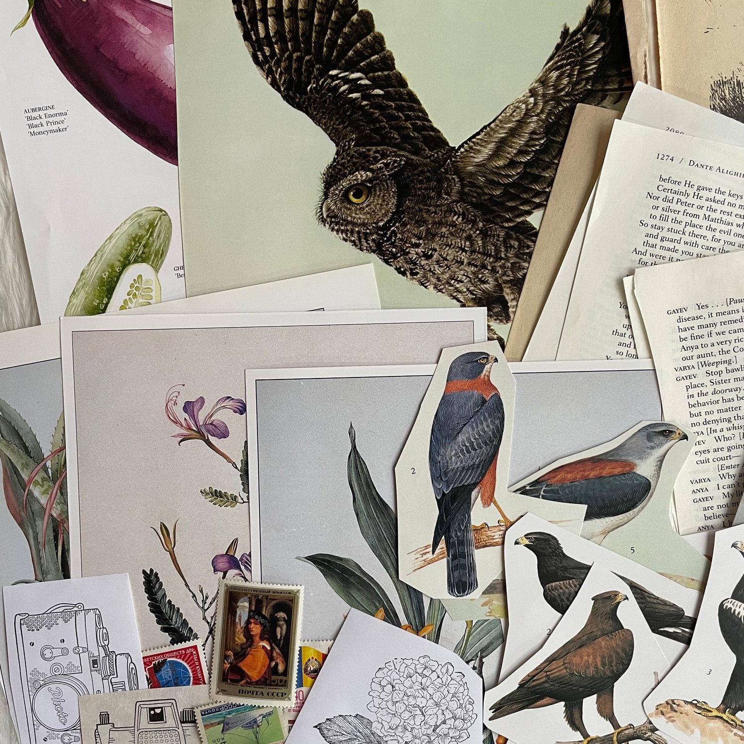 Image of Ephemera Pack (#4)