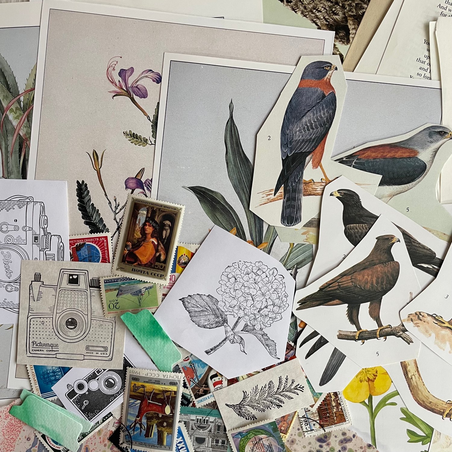 Image of Ephemera Pack (#4)