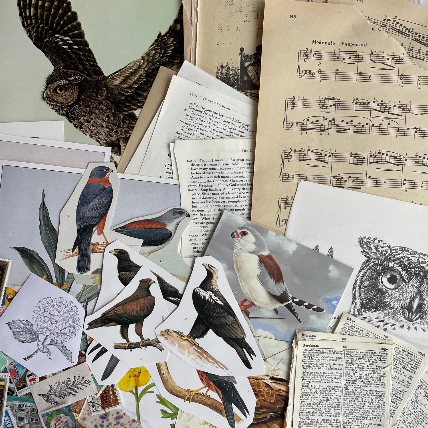 Image of Ephemera Pack (#4)