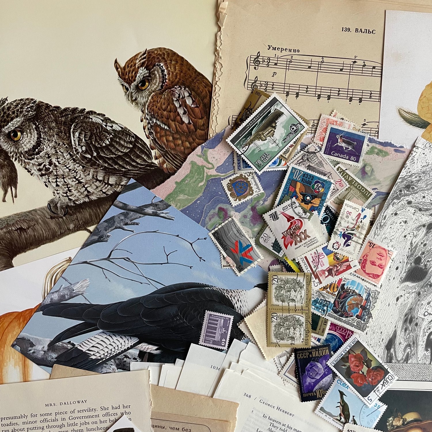 Image of Ephemera pack (#5)