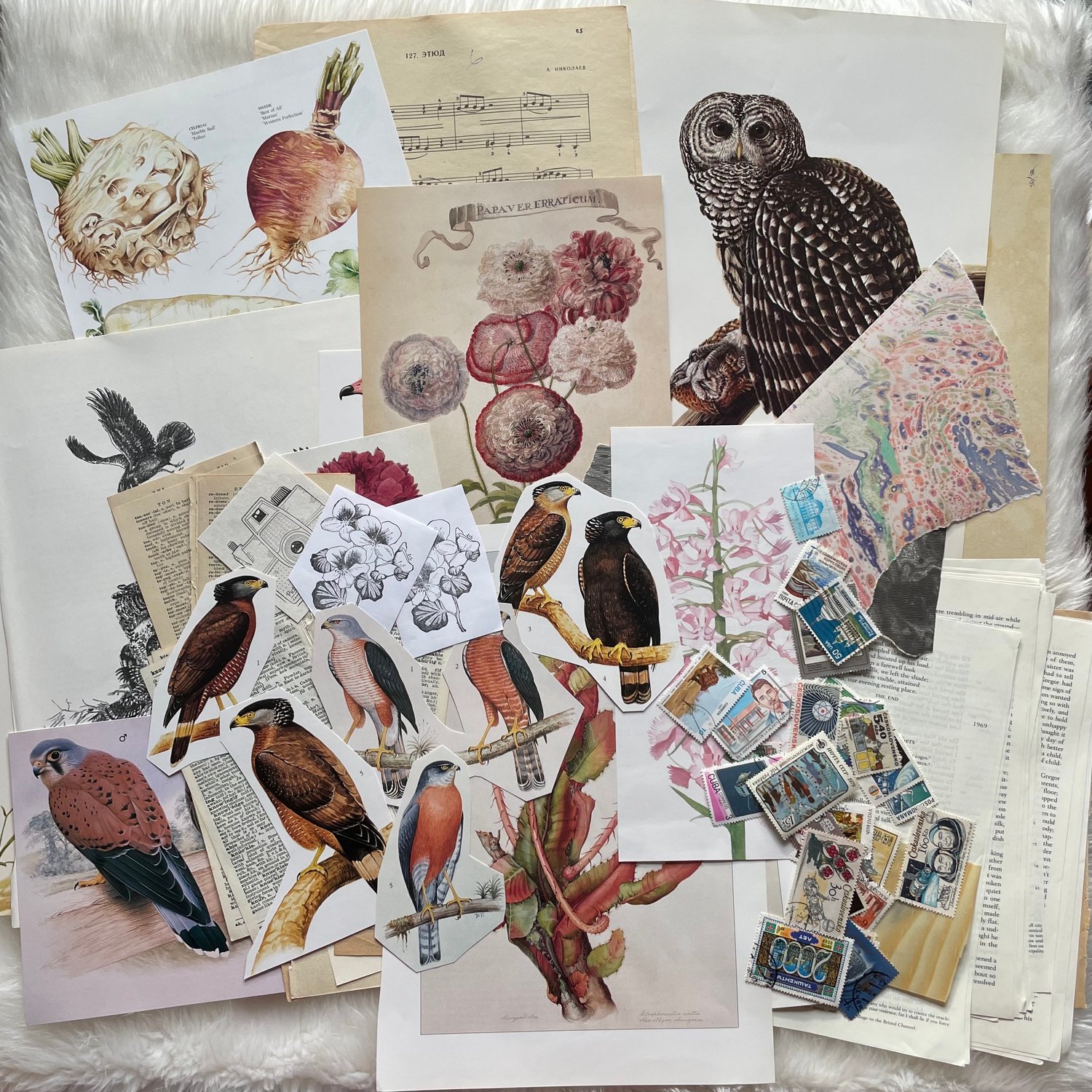 Image of Ephemera Pack (#6)