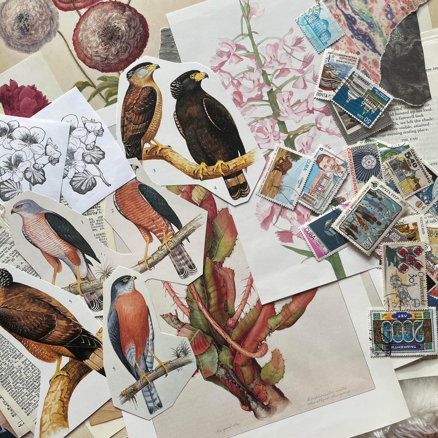 Image of Ephemera Pack (#6)