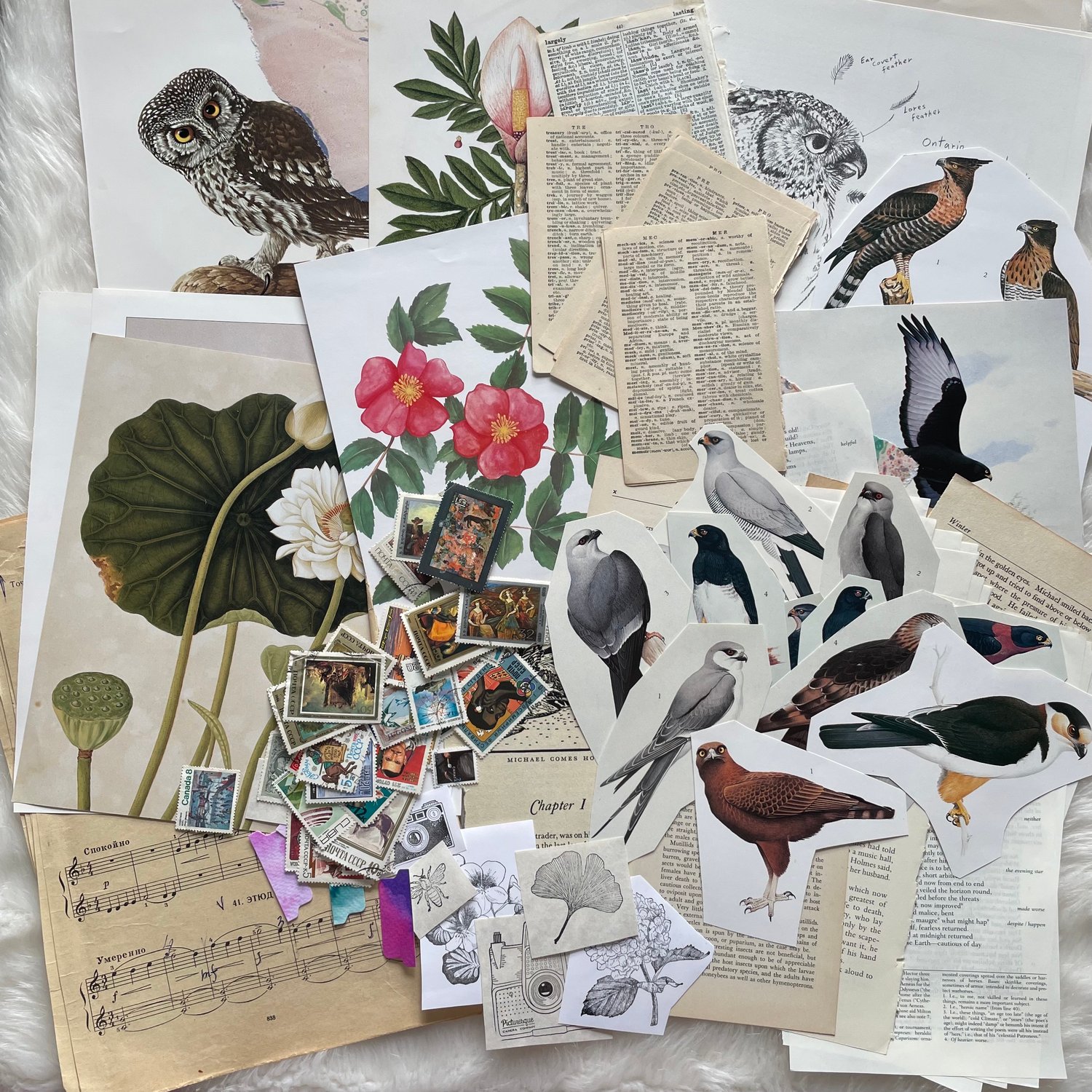 Image of Ephemera Pack (#7)