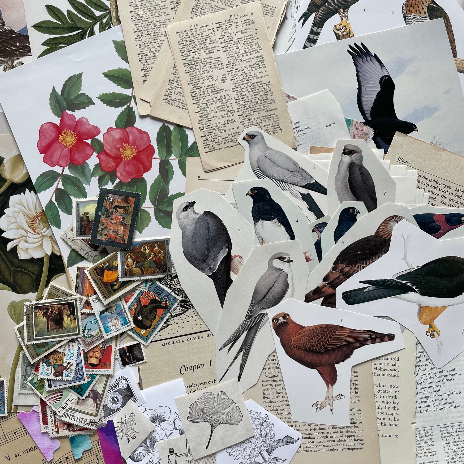 Image of Ephemera Pack (#7)