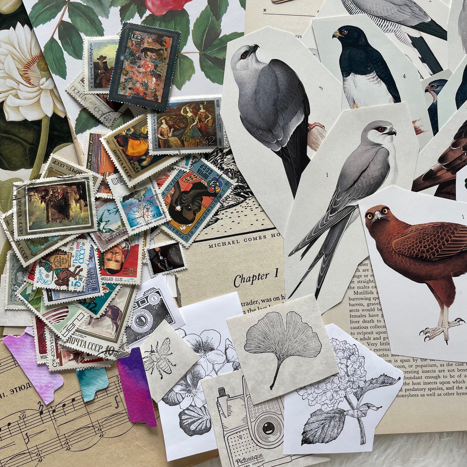 Image of Ephemera Pack (#7)