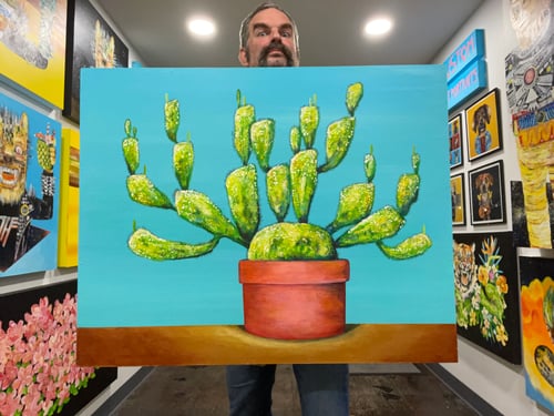 Image of Cactus 11/25/22