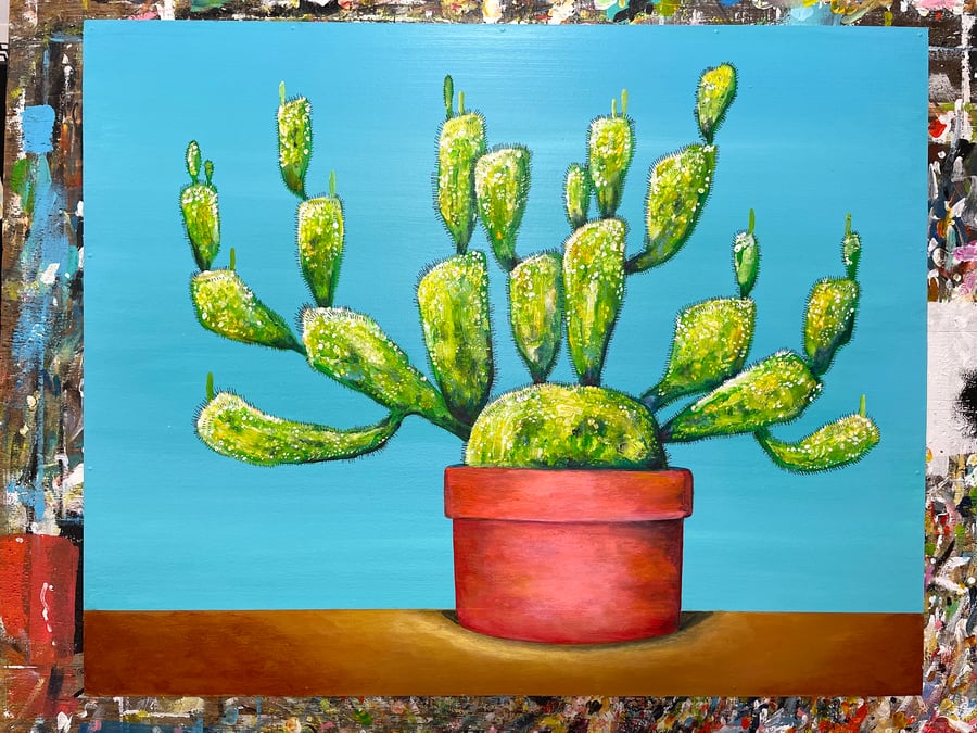 Image of Cactus 11/25/22