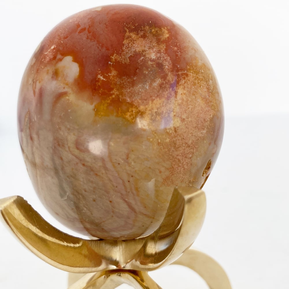 Image of Polychrome Jasper no.21 + Brass Claw Stand