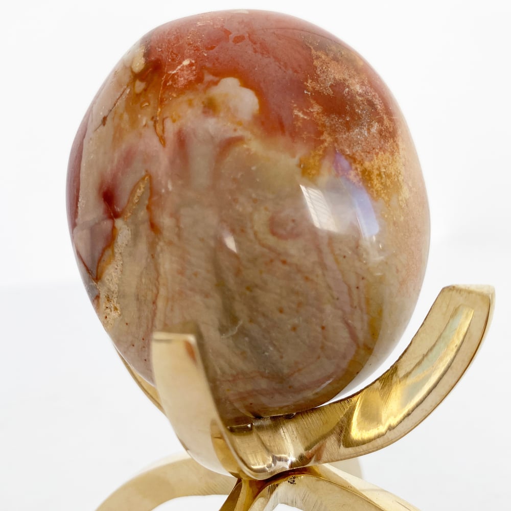 Image of Polychrome Jasper no.21 + Brass Claw Stand