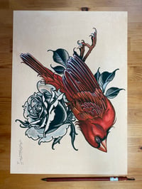 Cardinal Rose