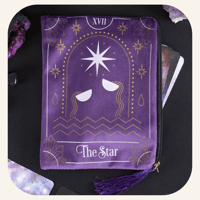 The star zippered velvet pouch bag