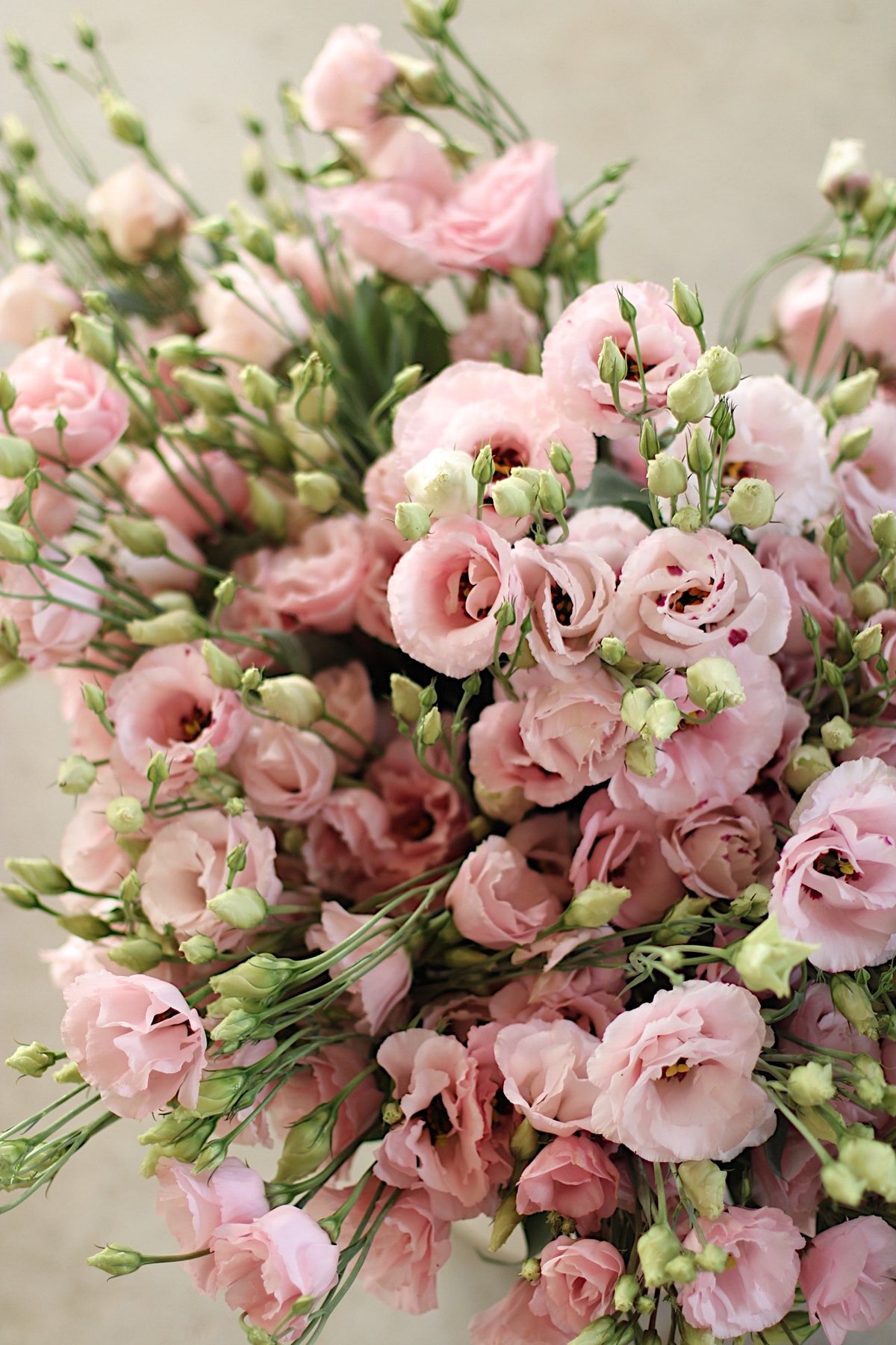 Image of Porch Petals Prescription :: HARVEST BUNCHES 