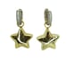 Image of Diamond Star earrings