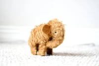 Image 1 of baby mammoth