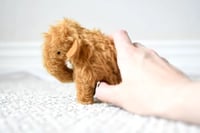 Image 3 of baby mammoth