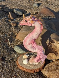 Image 4 of Ocean Rose the Pink Shell Dragon