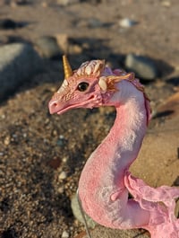 Image 1 of Ocean Rose the Pink Shell Dragon
