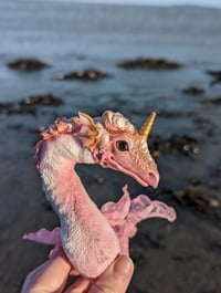 Image 2 of Ocean Rose the Pink Shell Dragon